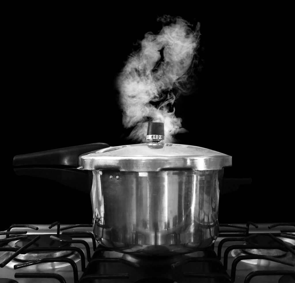 Slow Cooker vs Instant Pot. Which is the Smarter Choice for Your Kitchen in 2026? slow cooker vs instant pot